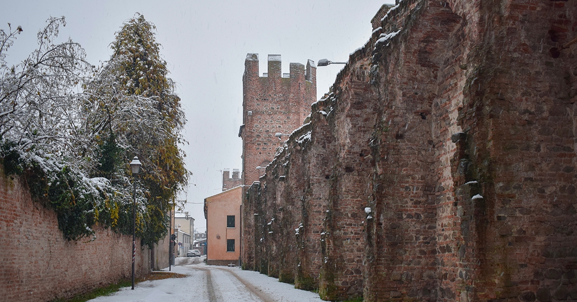 Visita guidata alle meraviglie di Montagnana